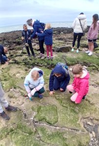 Dinosaur footprint in Folkestone with Rockwatchers