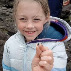 Footprints in Time: A Fantastic Day with Rockwatch in Folkestone
