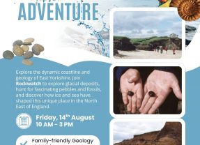 A Summer Holiday Trip to Skipsea Withow Mere