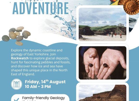 A Summer Holiday Trip to Skipsea Withow Mere