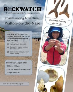 Walton on the Naze field trip with Rockwatch, August 2026