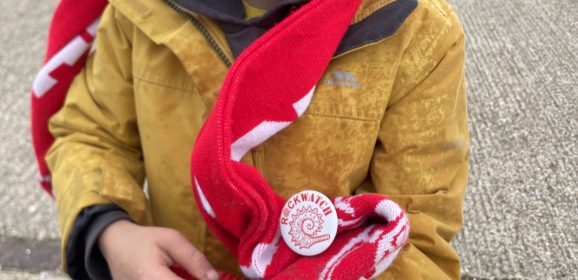 Blustery Weather Brings Brilliant Fossil Finds at Bracklesham Bay