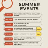 Rockwatch Summer Events 2026 – Adventures Waiting to Be Discovered!
