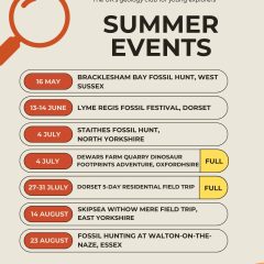 Rockwatch Summer Events 2026 – Adventures Waiting to Be Discovered!
