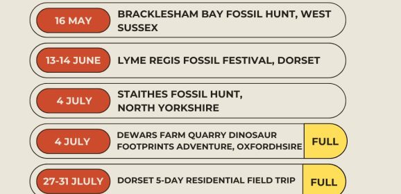 Rockwatch Summer Events 2026 – Adventures Waiting to Be Discovered!