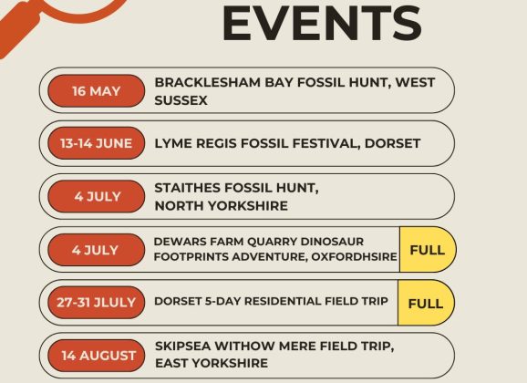 Rockwatch Summer Events 2026 – Adventures Waiting to Be Discovered!
