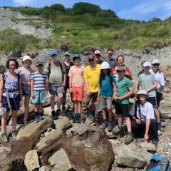 Sunshine, Dinosaurs and Discoveries in Folkestone