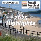 Fossils & Fun at Lyme Regis Fossil Festival 2026