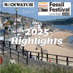 Fossils & Fun at Lyme Regis Fossil Festival 2026