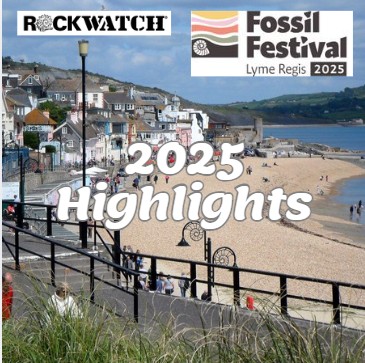 Fossils & Fun at Lyme Regis Fossil Festival 2026