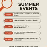 Don’t Miss Your Summer Rockwatch Adventure!