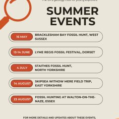 Don’t Miss Your Summer Rockwatch Adventure!