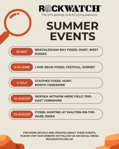 Selected Summer Rockwatch Events 2026