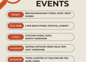 Don’t Miss Your Summer Rockwatch Adventure!