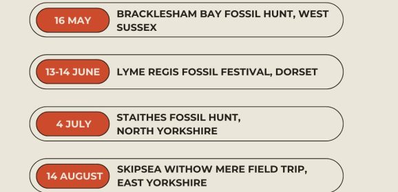 Don’t Miss Your Summer Rockwatch Adventure!
