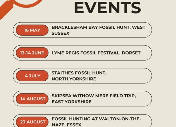 Don’t Miss Your Summer Rockwatch Adventure!