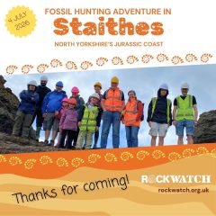 Fossil Hunting at Staithes Yorkshire Coast: Exploring a Jurassic Seabed