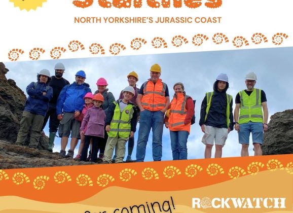 Fossil Hunting at Staithes Yorkshire Coast: Exploring a Jurassic Seabed