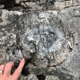 Fossils, granite and an ancient stone circle – a great day at Gamelands!