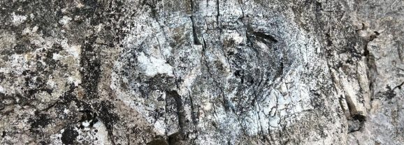 Fossils, granite and an ancient stone circle – a great day at Gamelands!