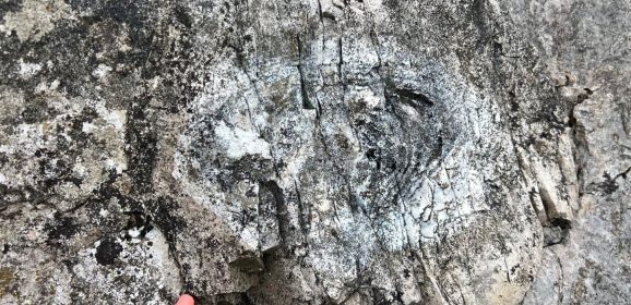 Fossils, granite and an ancient stone circle – a great day at Gamelands!