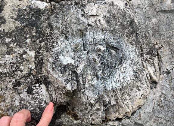 Fossils, granite and an ancient stone circle – a great day at Gamelands!