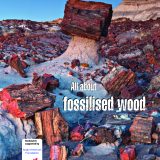 Explore our amazing Earth with Issue 103 of Rockwatch Magazine
