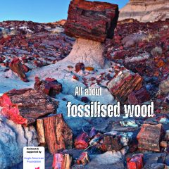 Explore our amazing Earth with Issue 103 of Rockwatch Magazine