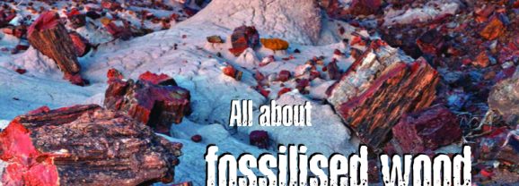 Explore our amazing Earth with Issue 103 of Rockwatch Magazine