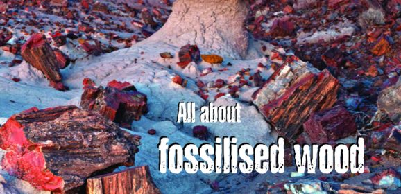 Explore our amazing Earth with Issue 103 of Rockwatch Magazine
