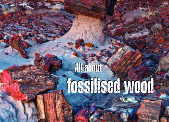 Explore our amazing Earth with Issue 103 of Rockwatch Magazine