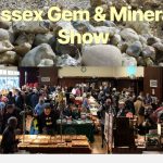 Essex Rocks Family Day