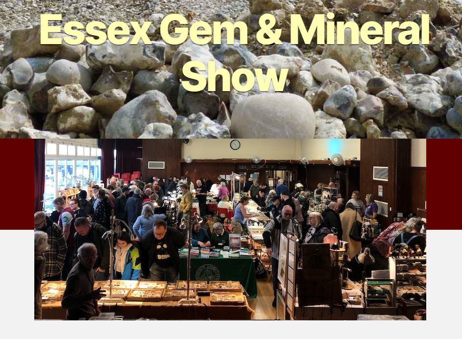 Essex Rocks Family Day