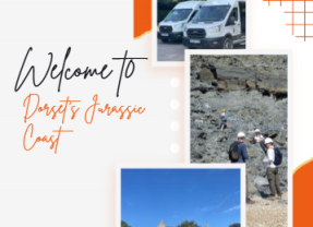 Five days of fossils, fieldwork and fun on Dorset’s Jurassic Coast