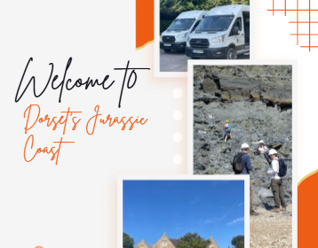 Five days of fossils, fieldwork and fun on Dorset’s Jurassic Coast